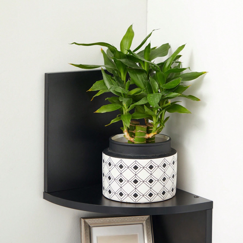 Corner Shelf Wall Mount, 5-Tie - Bookshelf 5 Tier ulasan dan harga